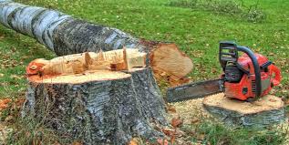 Best Fruit Tree Pruning  in Coats Bend, AL