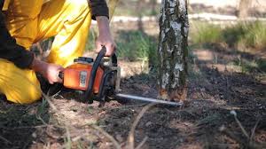 Best Soil Testing and Treatment  in Coats Bend, AL