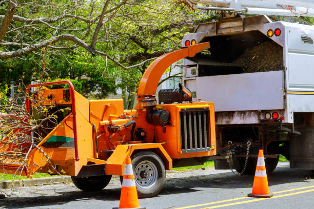 Best Hazardous Tree Removal  in Coats Bend, AL