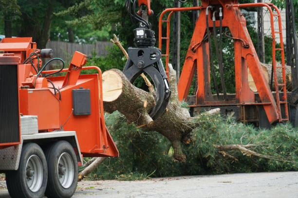 Best Utility Line Clearance  in Coats Bend, AL
